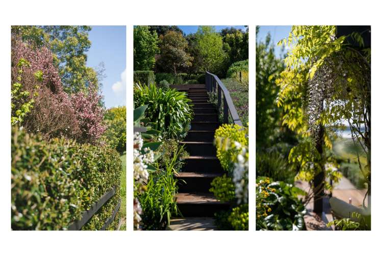 29 Lakeside Terrace Omokoroa_31