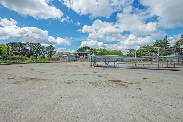 302 Ballance Road Pahiatua_23