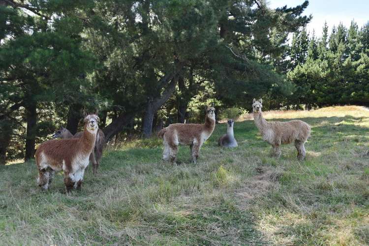 1392 Oxford Road Cust_29