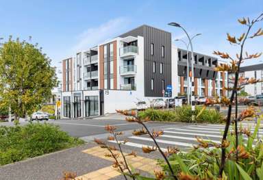 102,202,3/19 Rawene Road_4