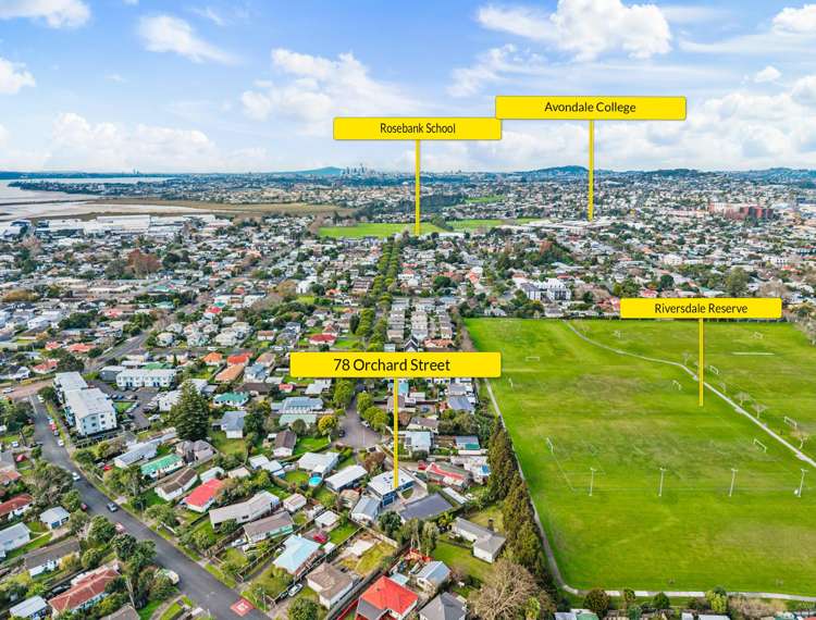 78 Orchard Street Avondale_20