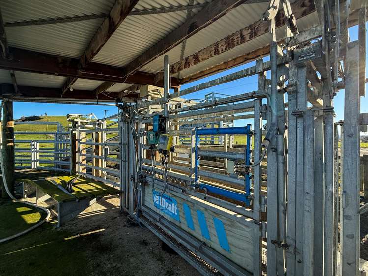 379 Waikaka Road Maitland_12