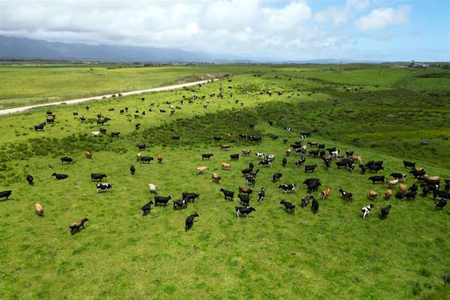 118 Bulls Road Westport_4