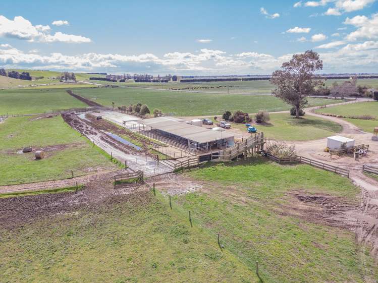 4088 Waimate Highway Morven_4