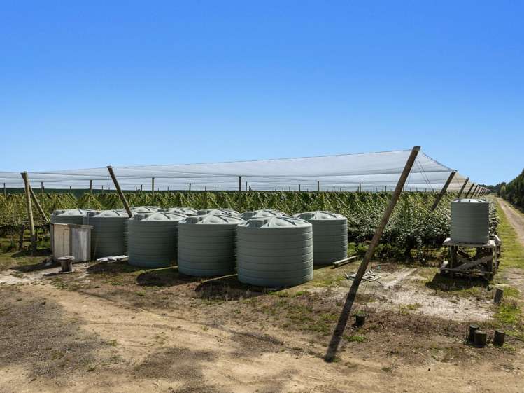 278 Paroa Road Whakatane Surrounds_5