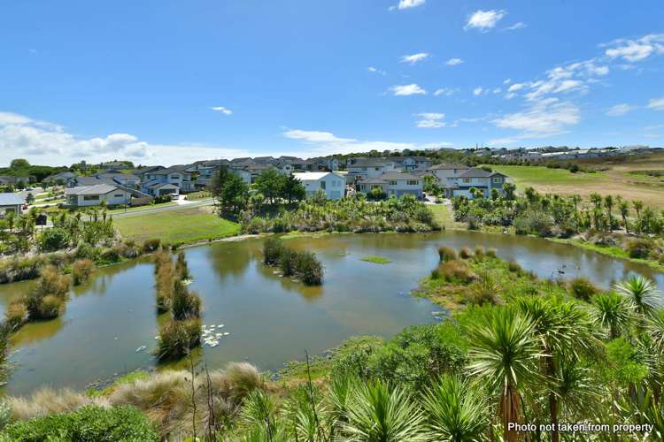 81 Pinecrest Drive Gulf Harbour_21
