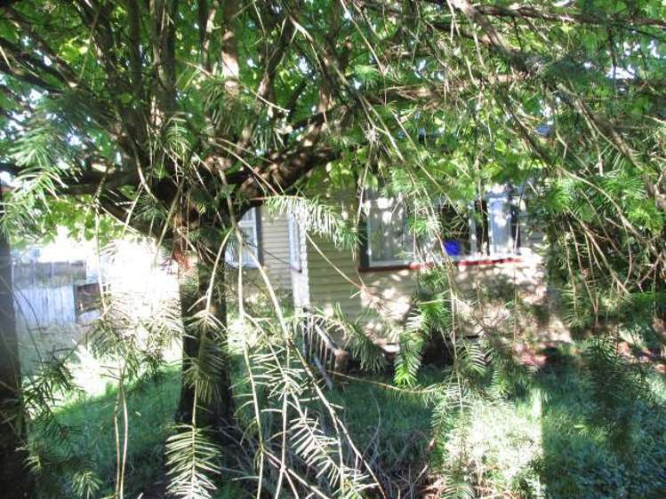 39 Buller Road Reefton_5