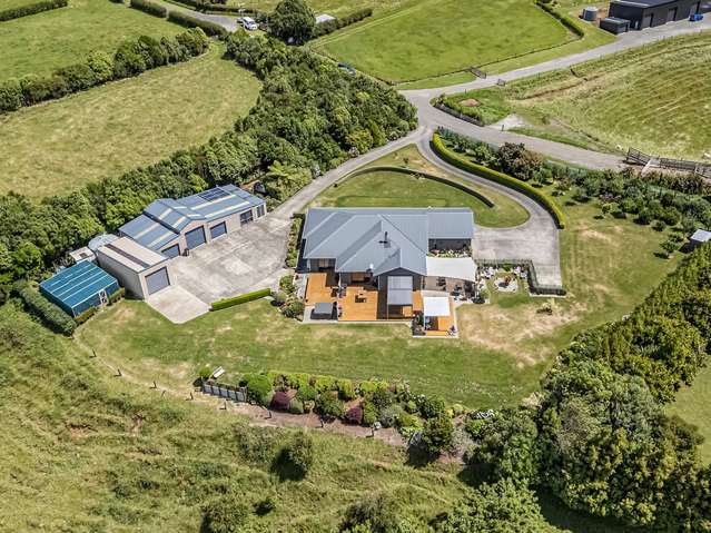 98 Pitt Road Hillsborough_2