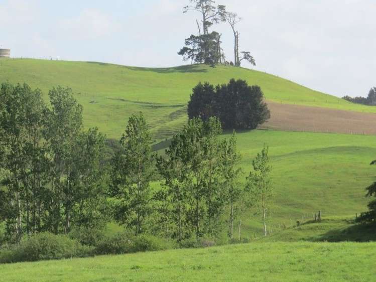 114 Pukekapia Road Ruawaro_12