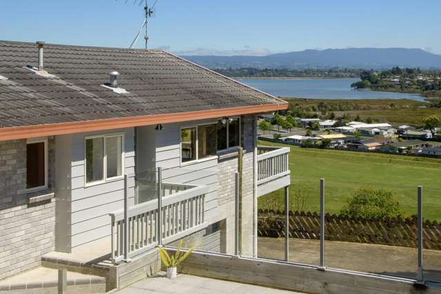 31 Carlton Street Bellevue_2