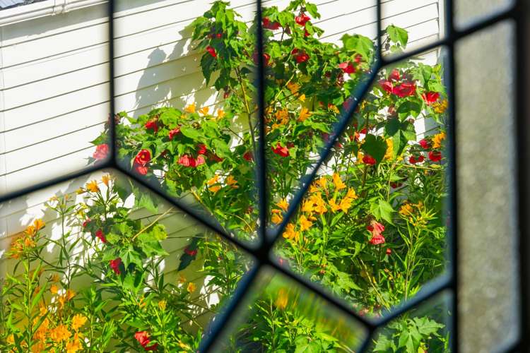 4 Kent Road Saint Johns Hill_31