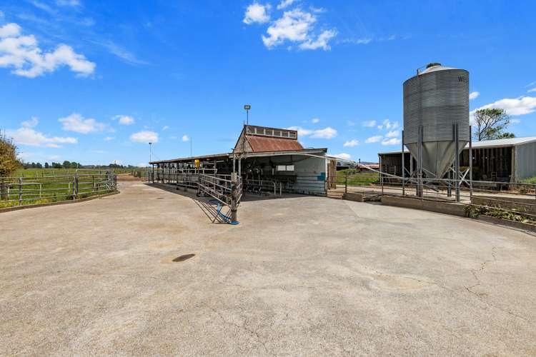 1779 Gordonton Road Taupiri_6