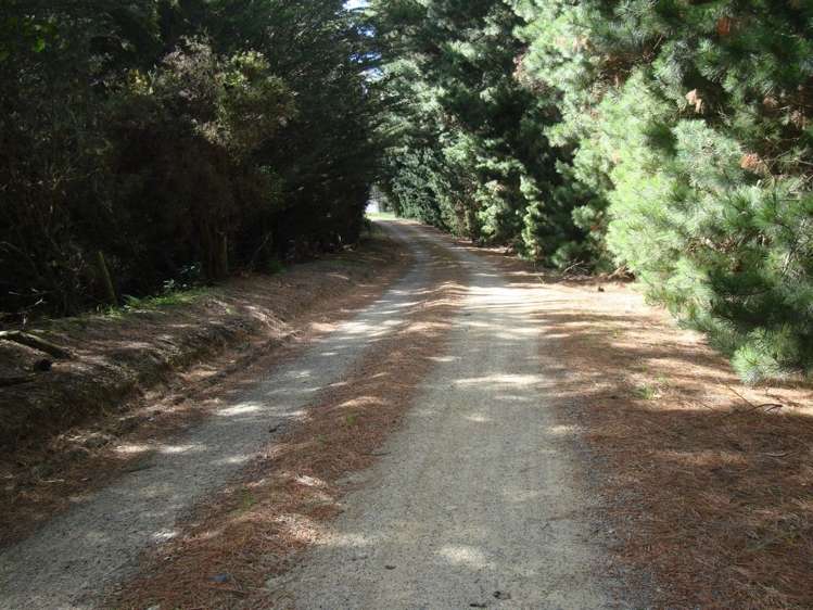 94 Stead Road Evansdale_15