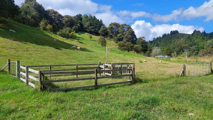 23 Jellick Road Hikurangi_24
