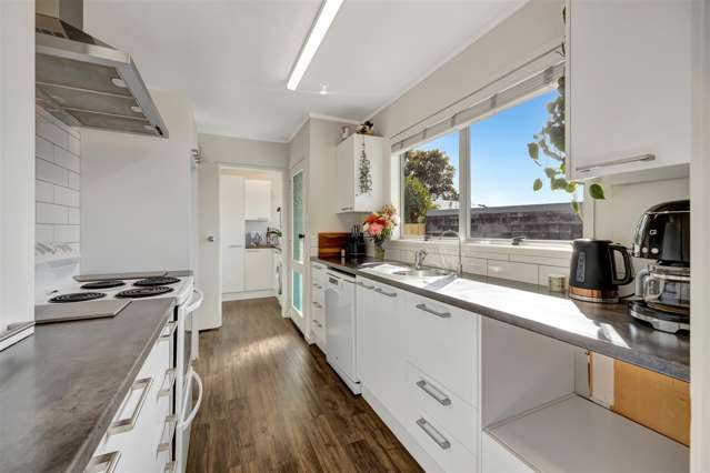 58 Rodney Street Nawton_4