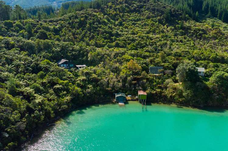 Tumbledown Bay Road Port Underwood_8