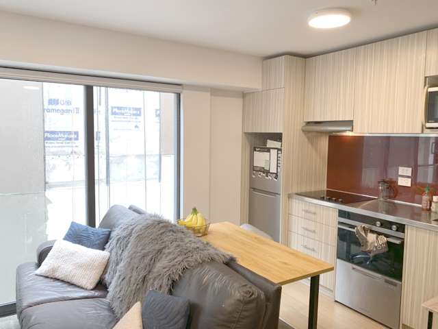 402/111 Dixon Street Te Aro_2