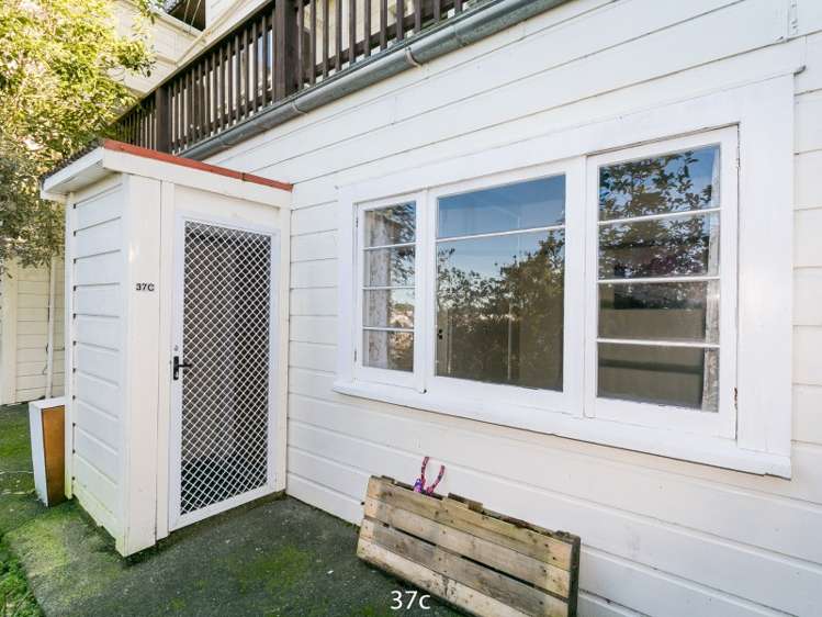 37 Devon Street Aro Valley_19