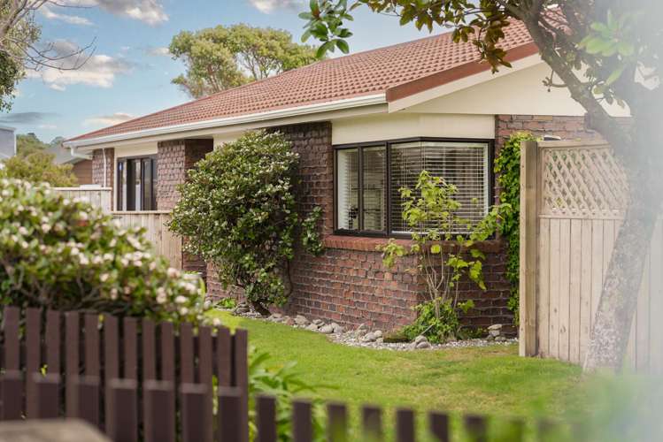 19 Reeves Street Waikanae Beach_0