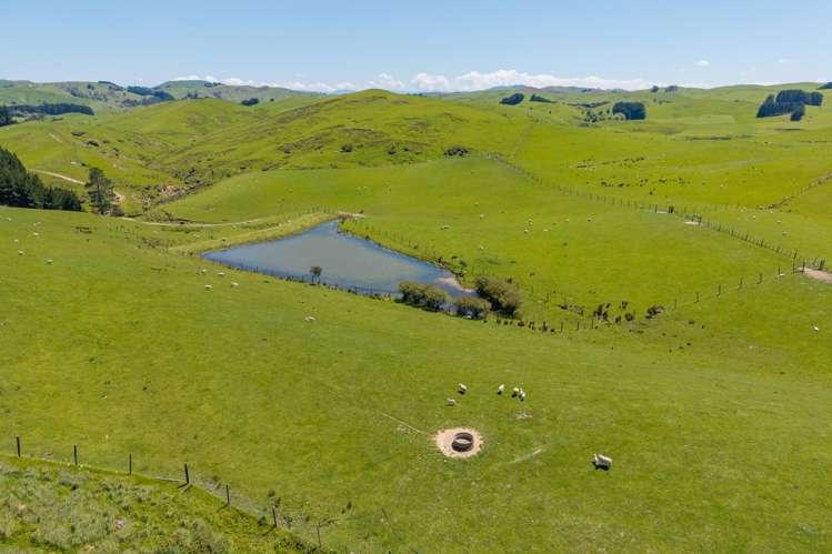 129 Speedy Road Dannevirke_11