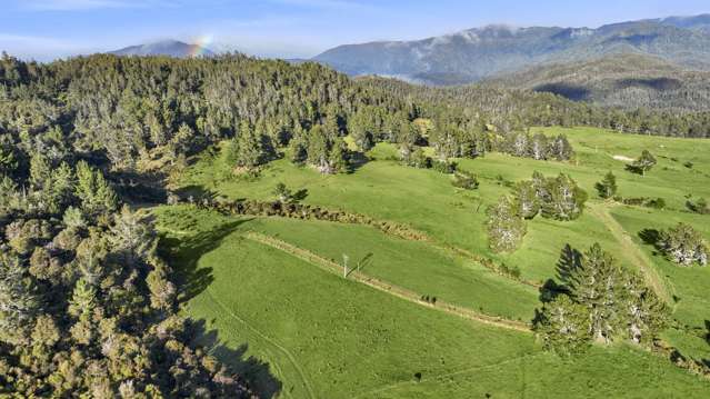 Takaka-Collingwood Highway Parapara_4