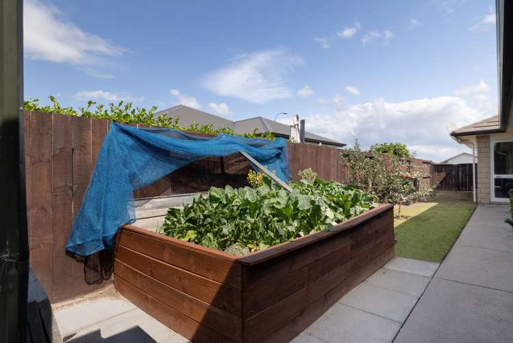 157 The Boulevard Papamoa_22