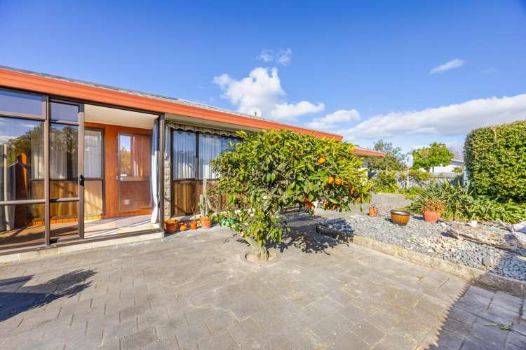 2/407 Gloucester Street Taradale_13