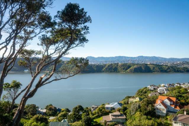 154 Grafton Road Roseneath_3