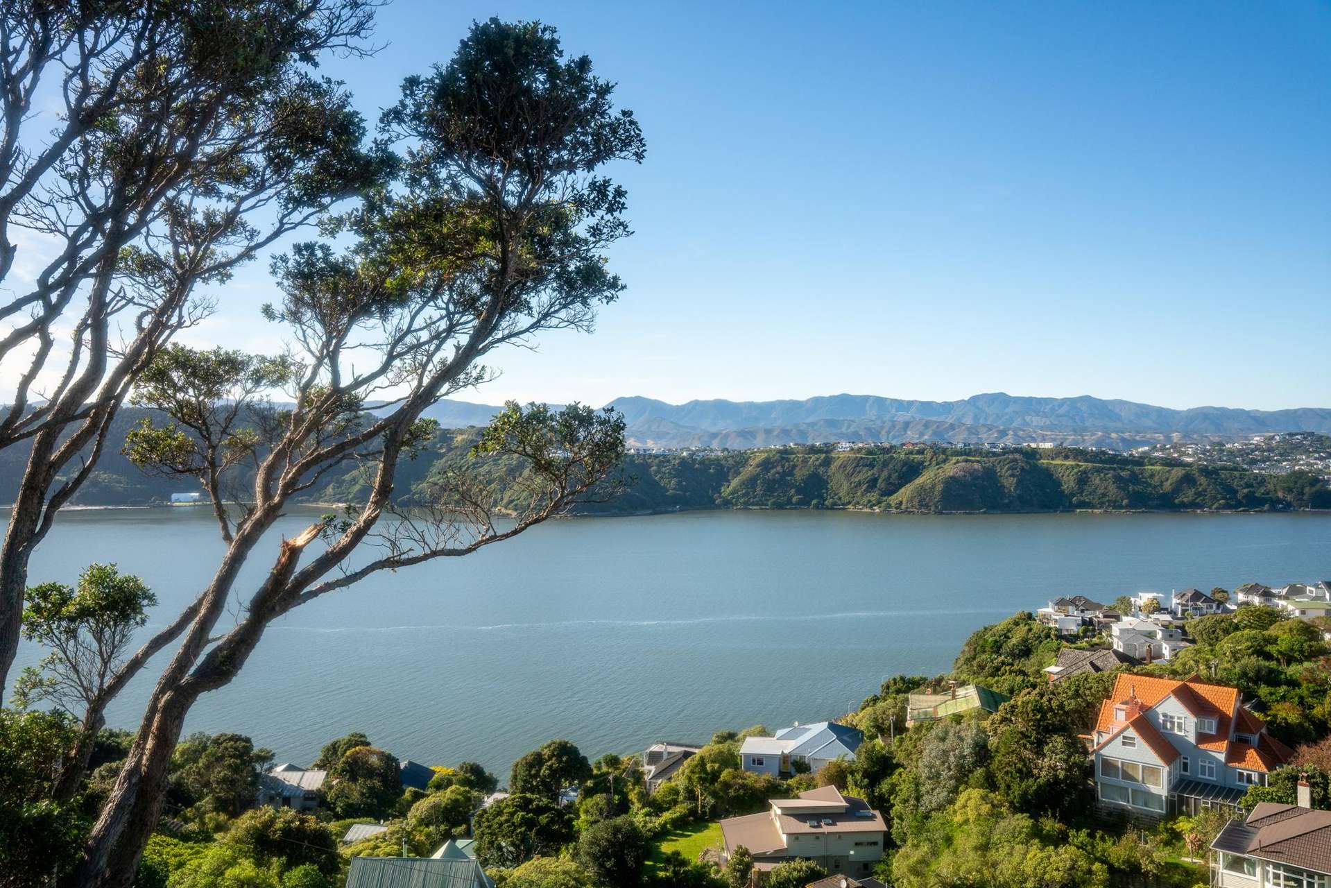 154 Grafton Road Roseneath_0