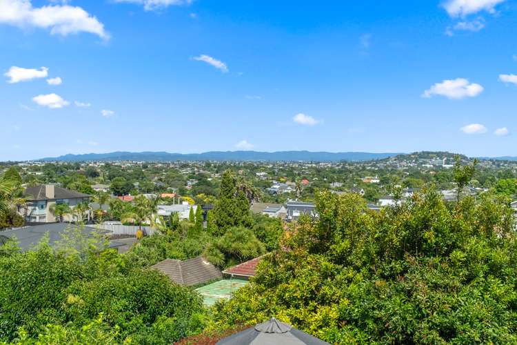 17 Kakariki Avenue Mount Eden_27