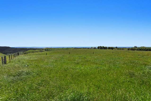 106D Awanuiarangi Road Pikowai_4