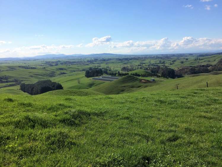 198 Harbottle Road Morrinsville_0