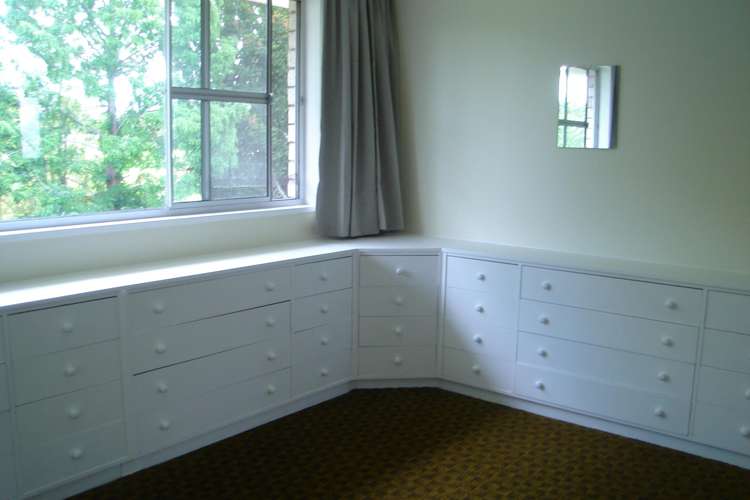 58 Oliver Street Kihikihi_3