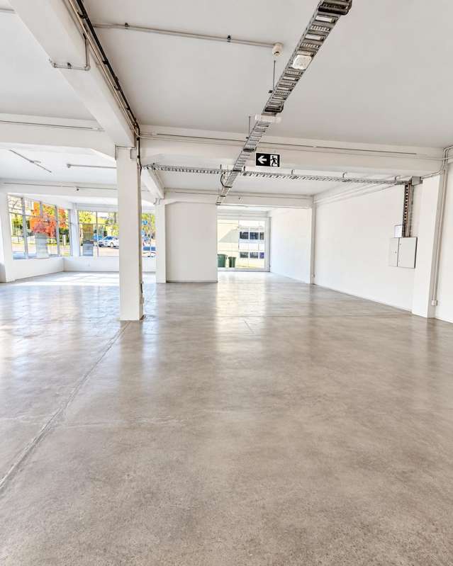 36 Karaka Street Eden Terrace_2