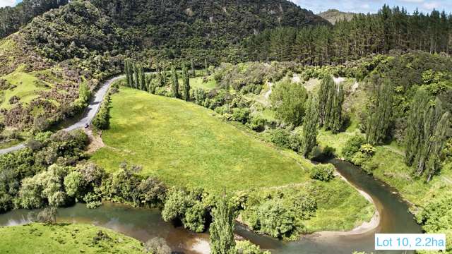 2902 State Highway 3 Awakino_1