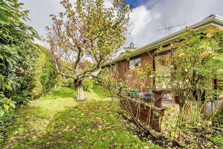 17 Awanui Drive Waikanae_19