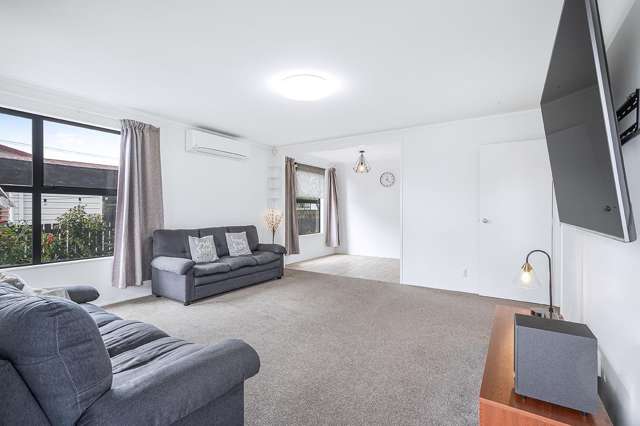 359 Kahikatea Drive Dinsdale_1