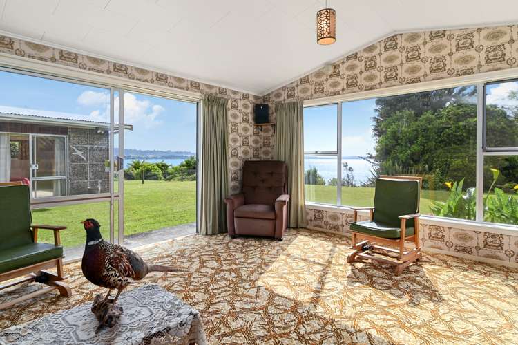 81 Mokoia Road Ngongotaha_6