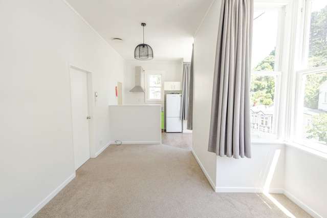 28A Adams Terrace Aro Valley_1