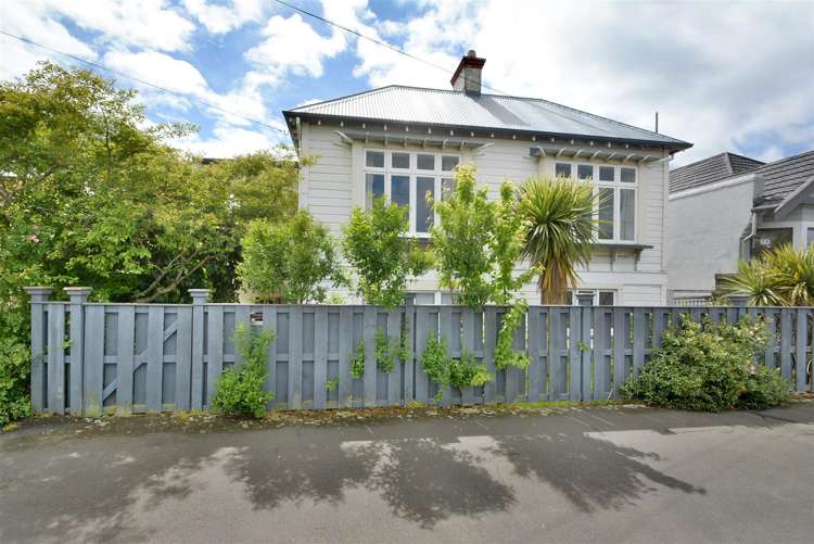 195 Forbury Road Saint Clair_20