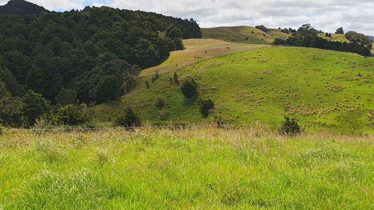 1241 Ararua Road Ararua_18