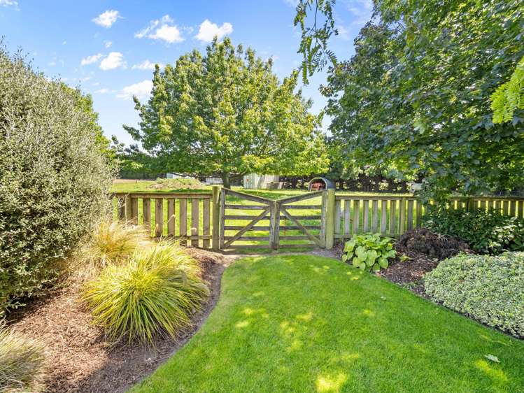 28 Murdochs Road Newland_22