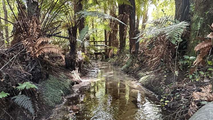 1041 Collingwood-Bainham Main Road Collingwood_24