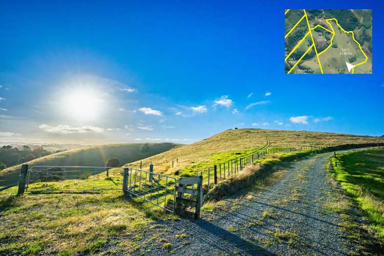 Telfer Road Parua Bay_36