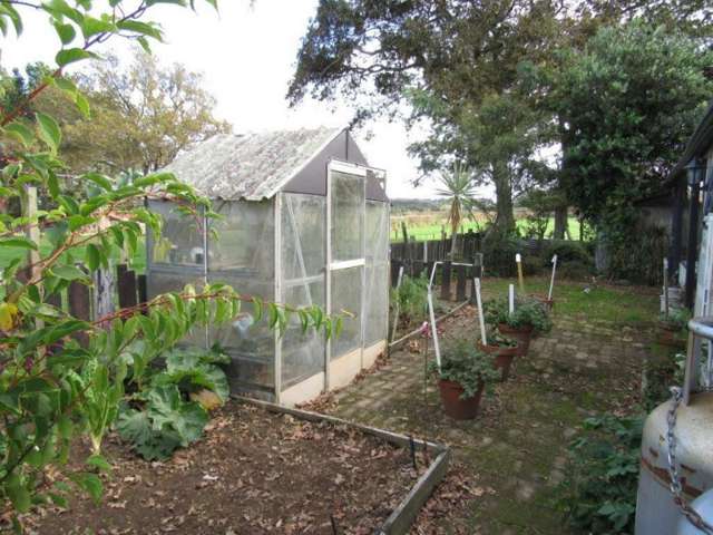 60 Cameron Road Morrinsville_4