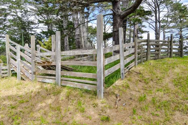 1501 East Coast Road Redvale_14