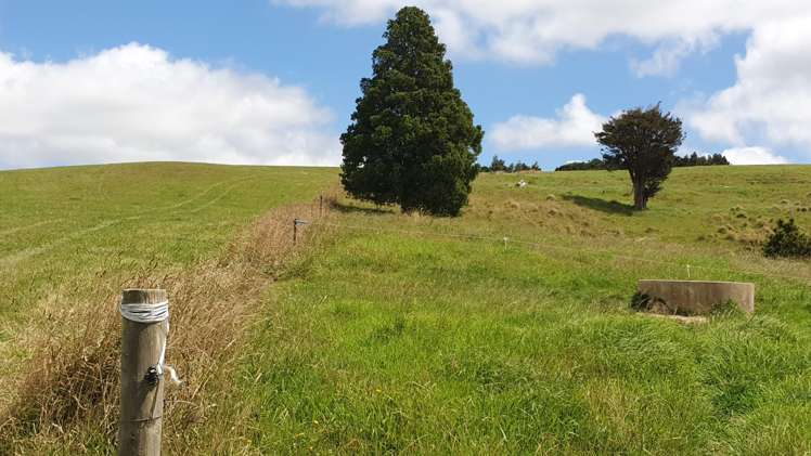 1241 Ararua Road Ararua_19