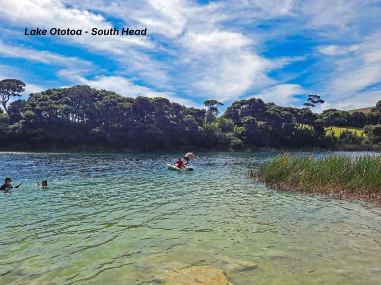 48 Omana Avenue Helensville_6