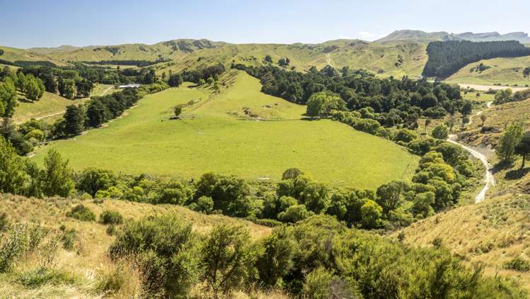 14781 Route 52 Eketahuna_18