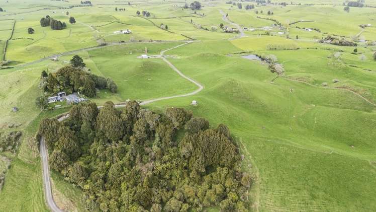 794 Tariki Road Ratapiko_3